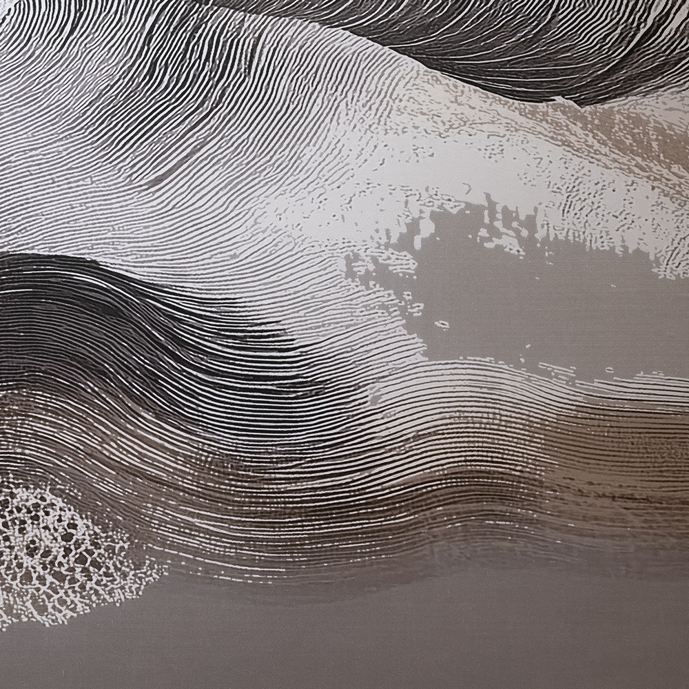 Silk filigree | Tracing Silence