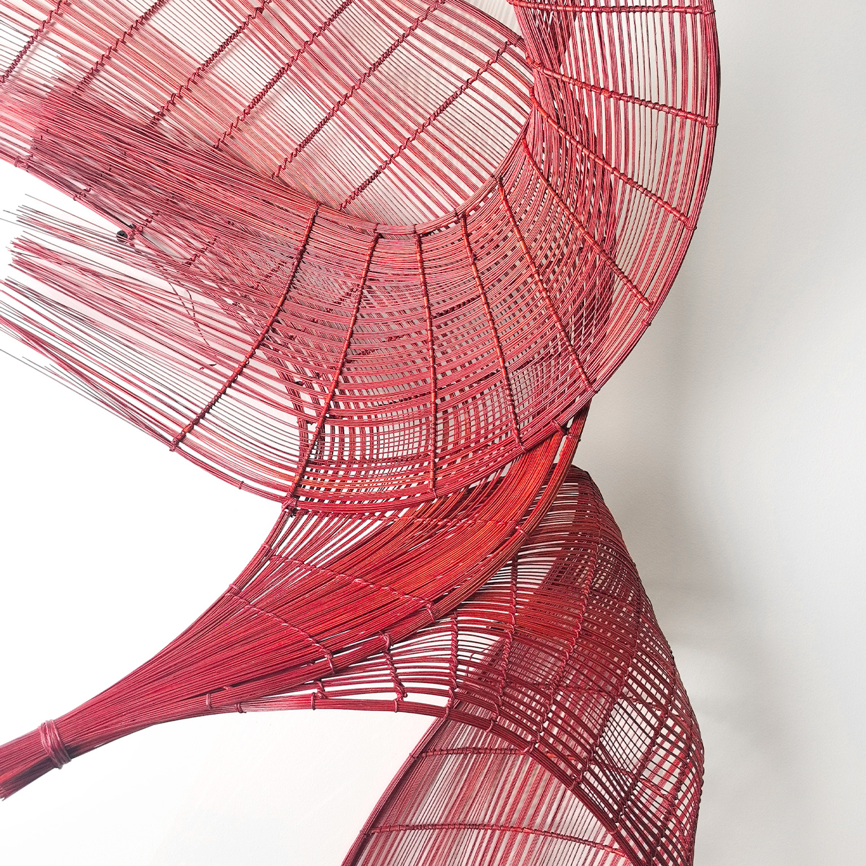 Bamboo Rhythms & Flowing Light
