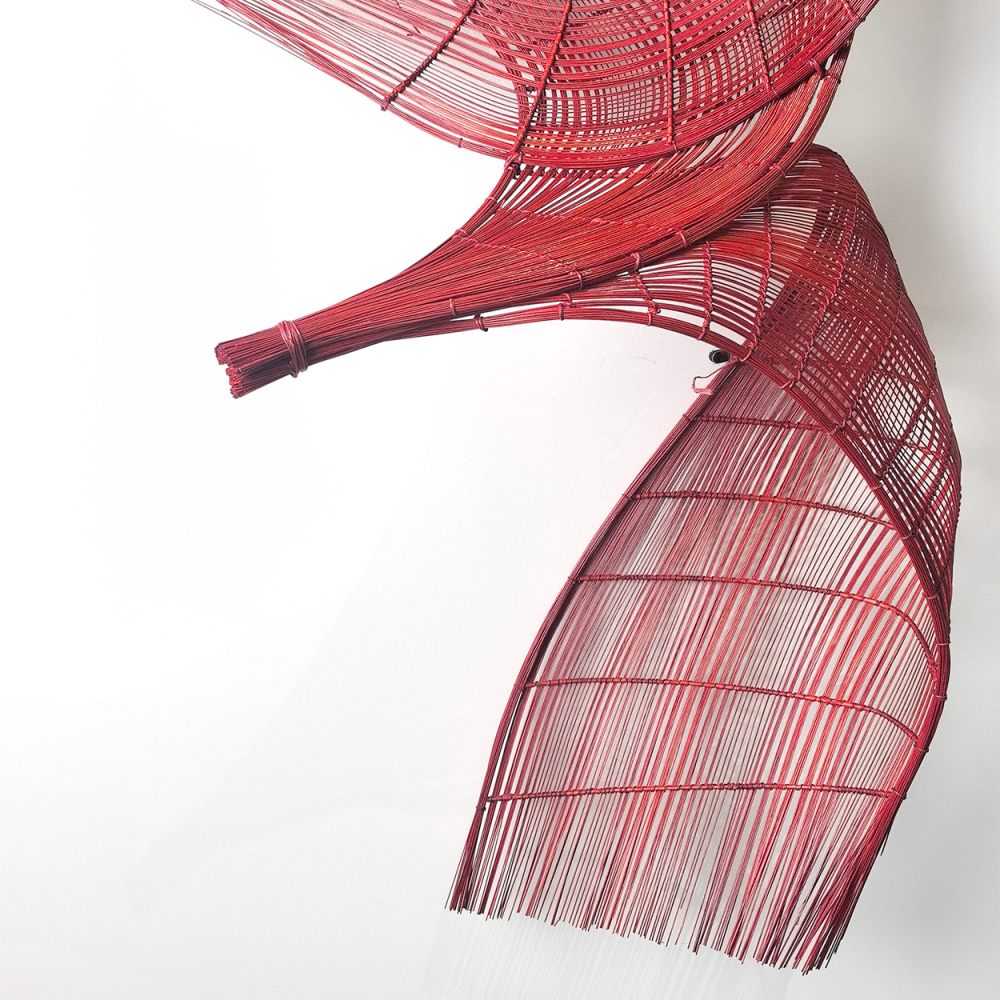 Bamboo Rhythms & Flowing Light