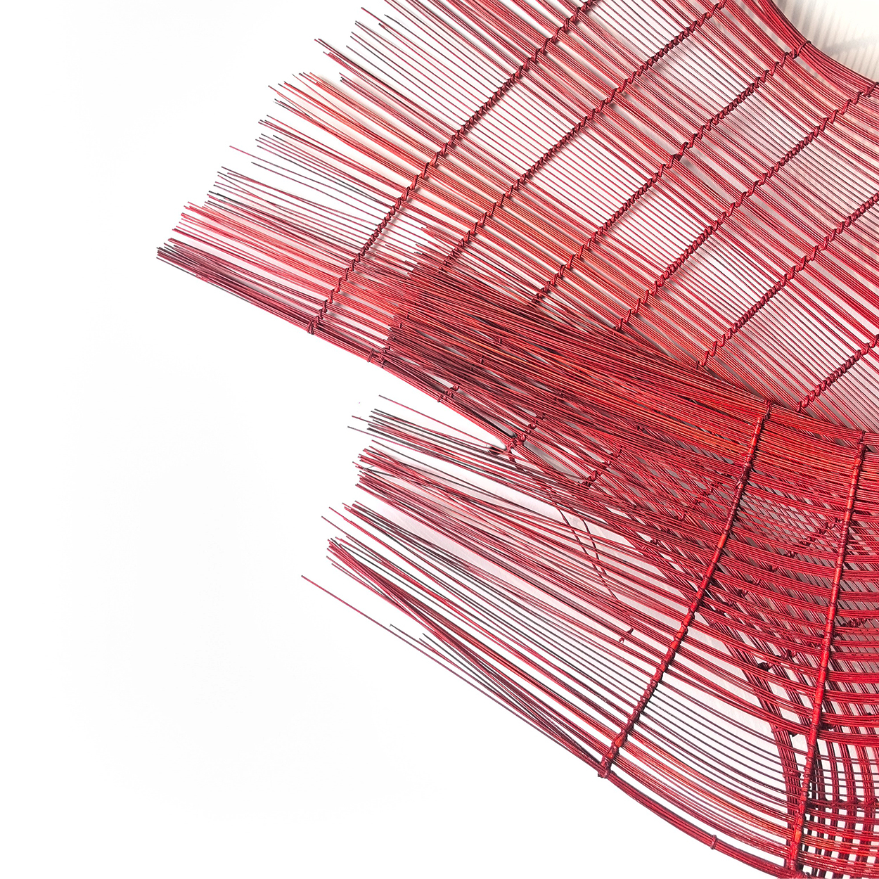 Bamboo Rhythms & Flowing Light
