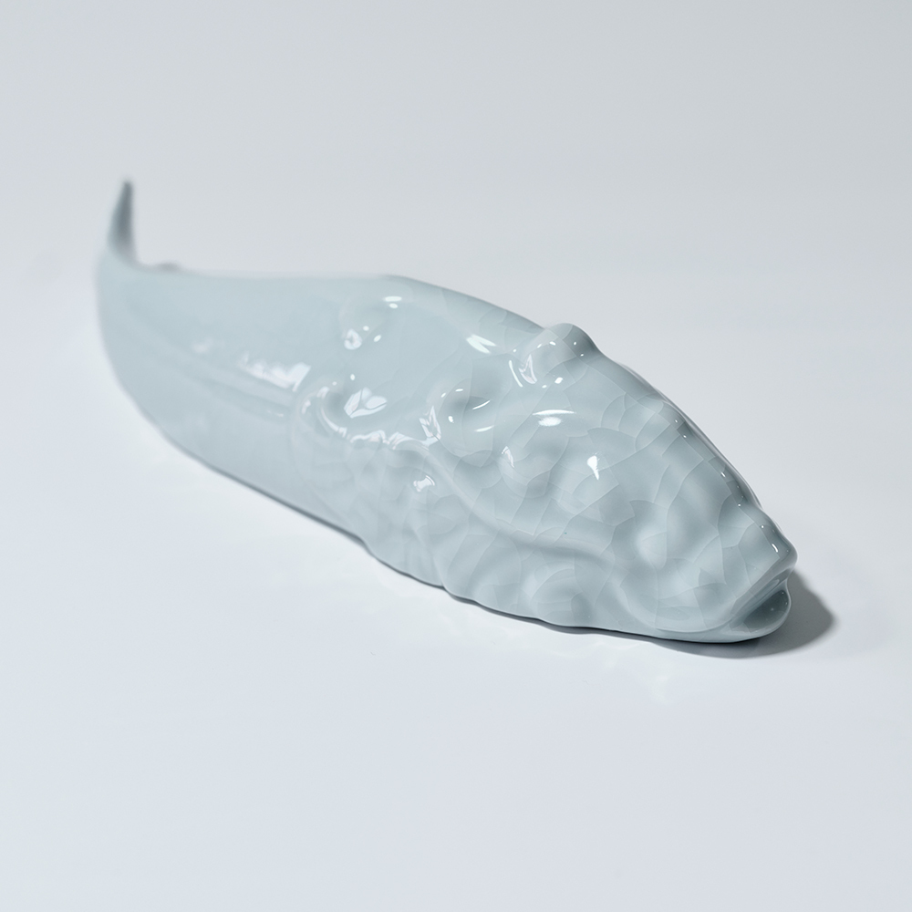 Dragon-Fish