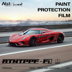 ATNT PPF-F1
