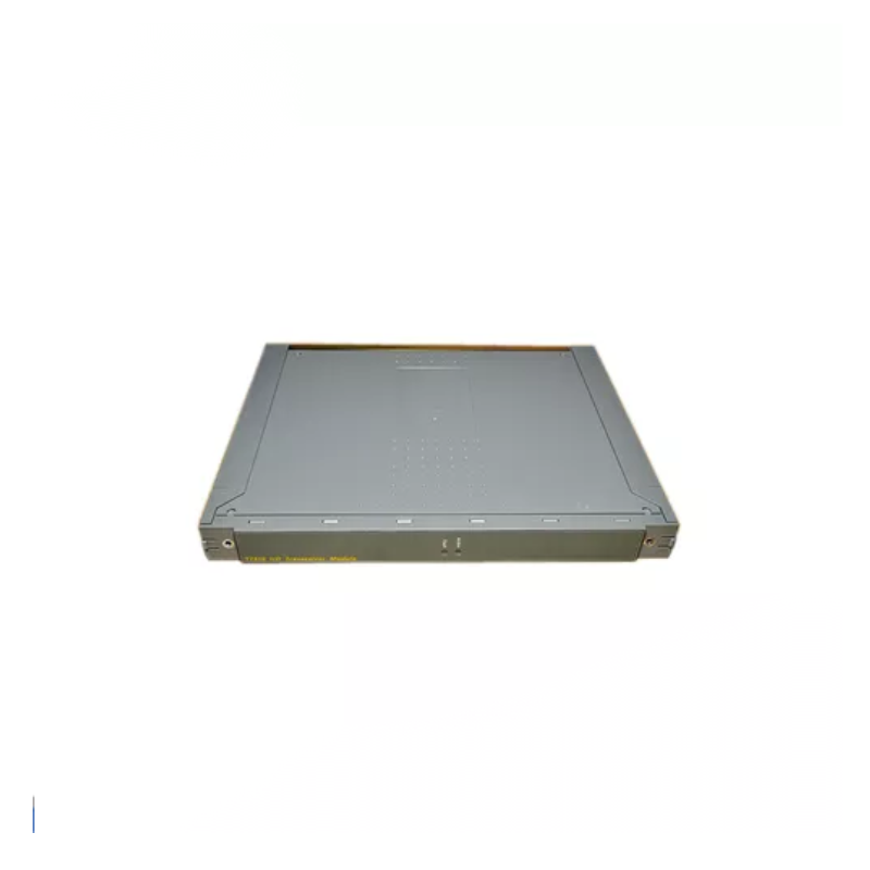 ICS Triplex T9310-02