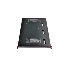 Triconex 3009