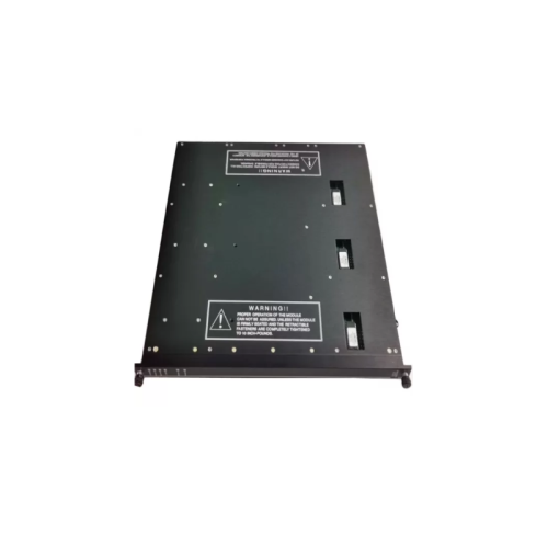 Triconex 3009