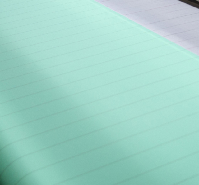 2 Layers Forming Fabric