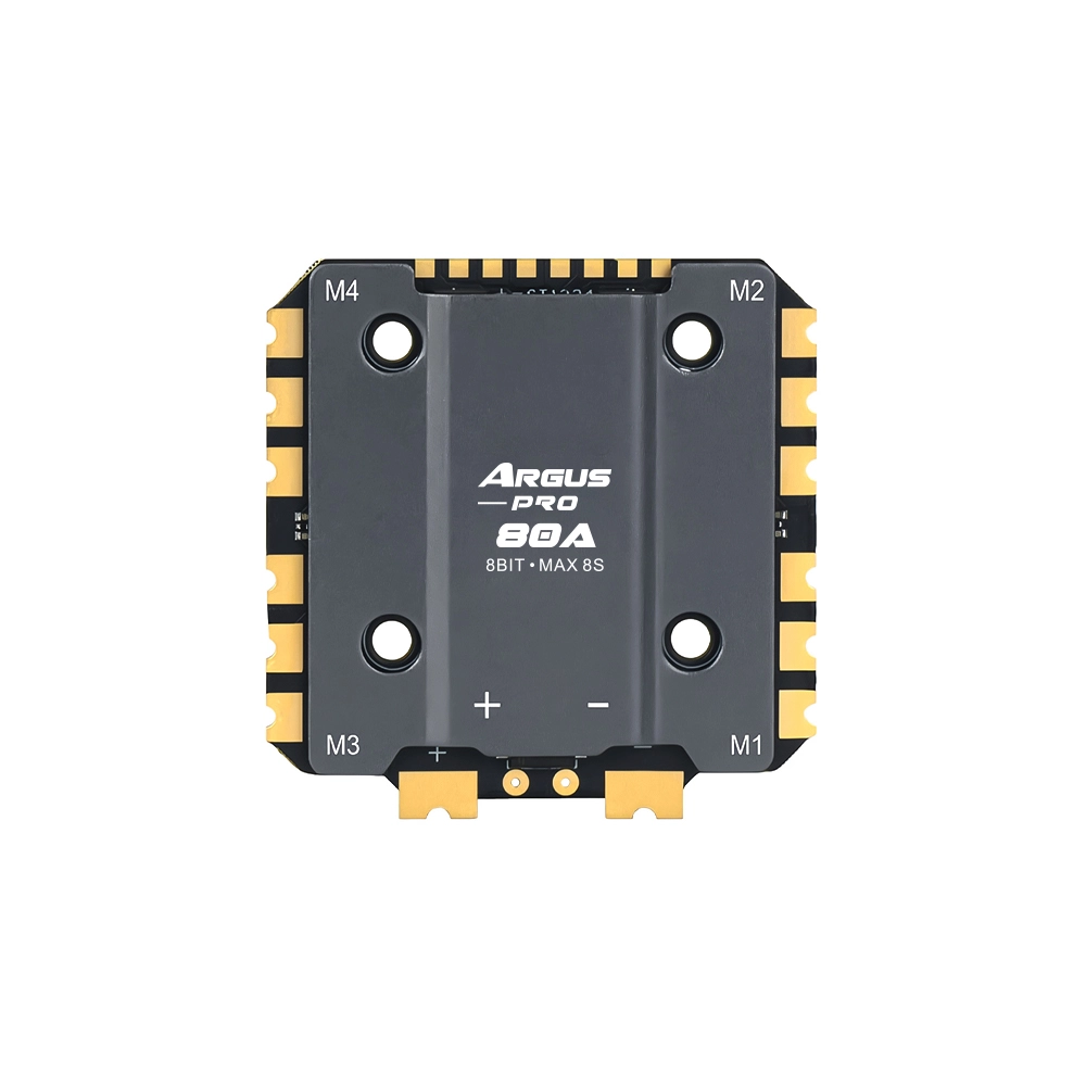 Argus Pro 100A/80A电调