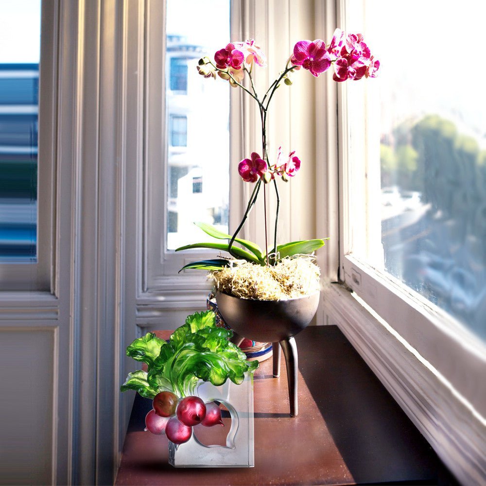 Crystal Radish, The Heart of Our Great Land