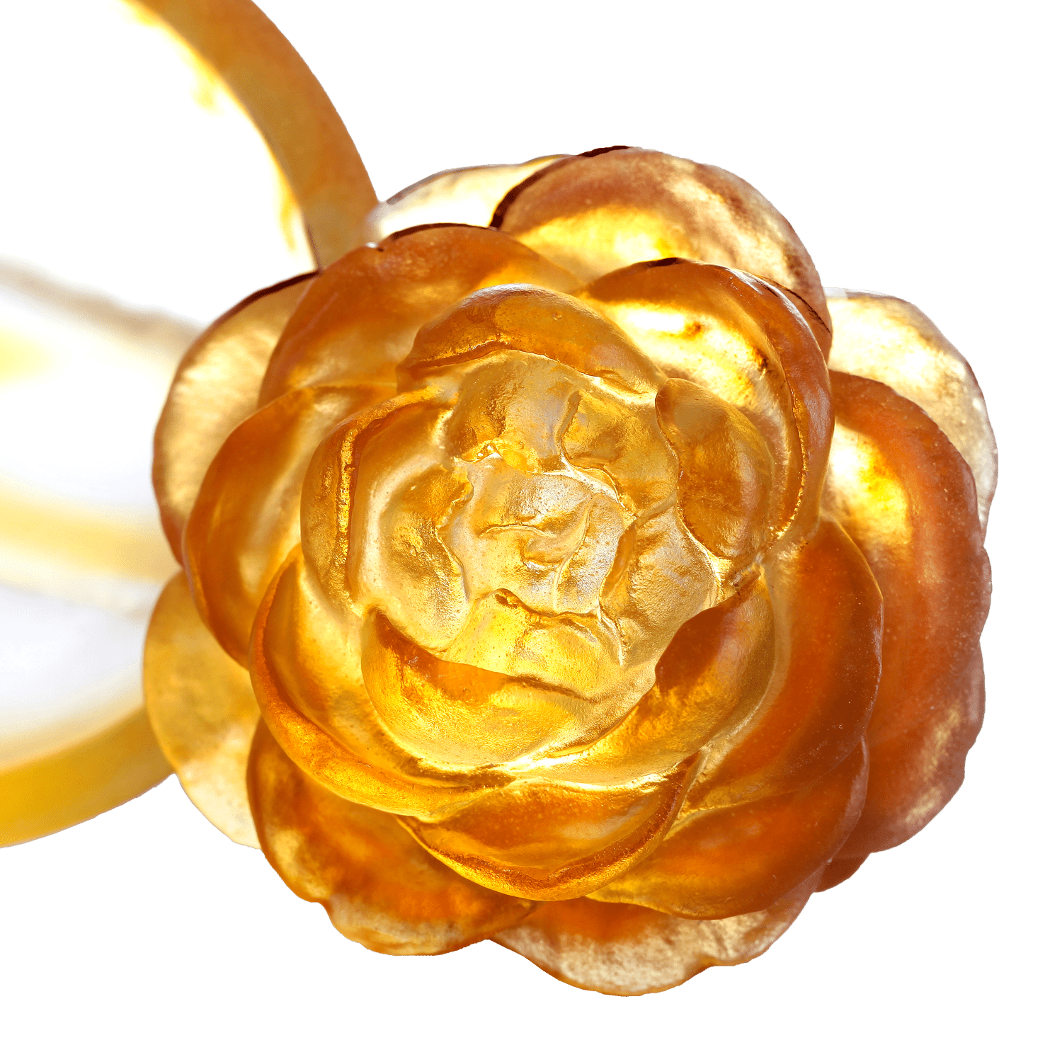 Crystal Flower, Camellia Bloom, Destined Harmony