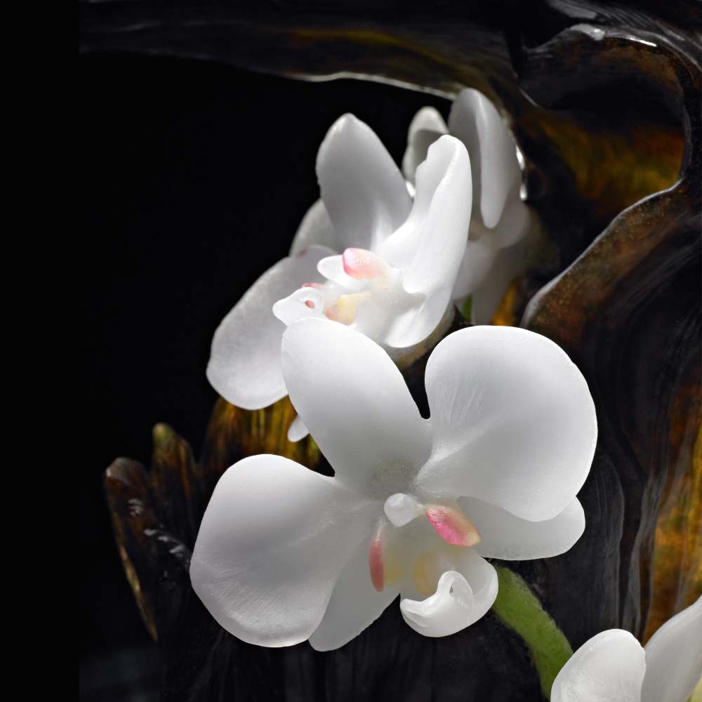 Crystal Mountain, The Power of Ascension-Yushan Juniper