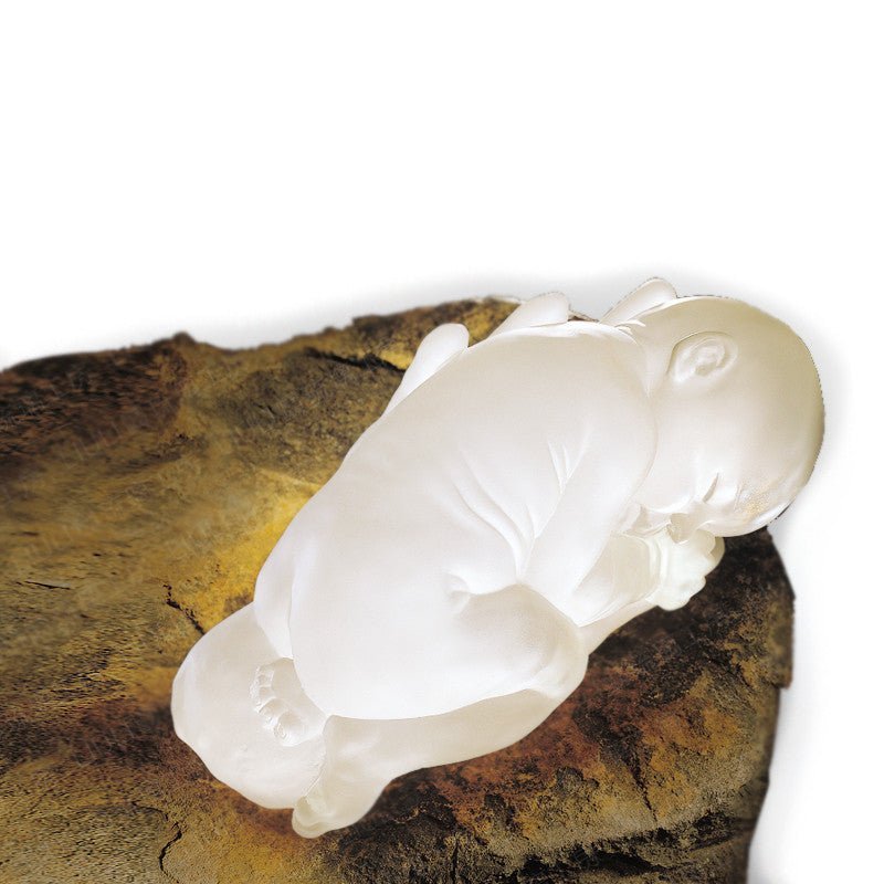 Crystal Animal, Elephant, A Push Forward the Fortune