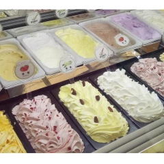 12 Pans Ice Cream Fridge Showcase Refrigerator Equipment