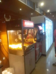 Electric stainless steel Popcorn  Maker Machine Industrial Popcorn Machine