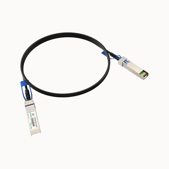 1米直连双轴电缆 (DAC) - SFP28 到 SFP28 - 25G高速连接