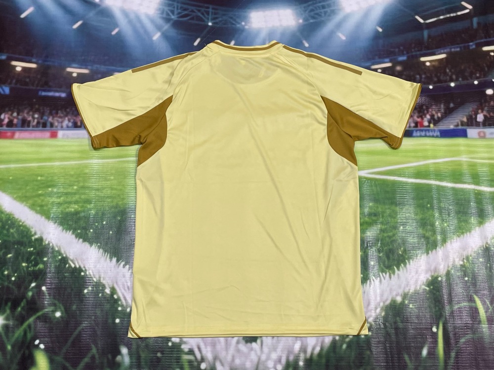 25-26 Messi training uniform Jersey Fan Version