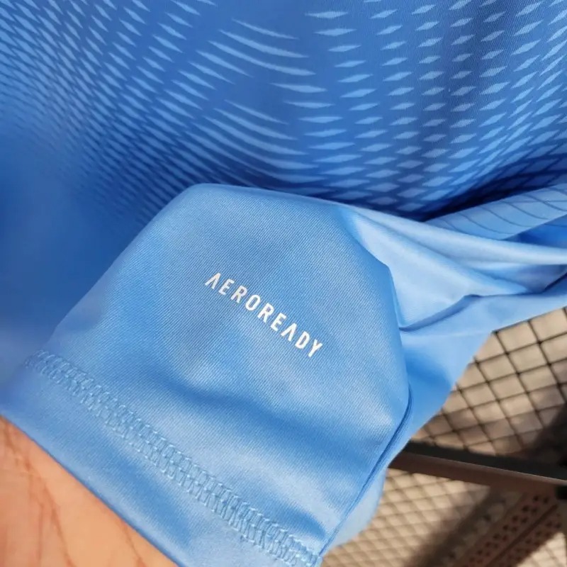 2526 Real Madrid Blue Goalkeeper Jersey Fan Version