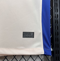 24/25 chelsea away jersey