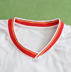 24/25 liverpool third jersey