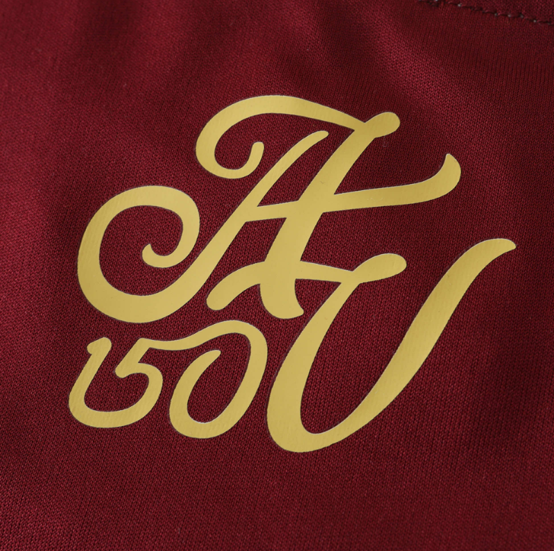 24/25 aston villa home jersey