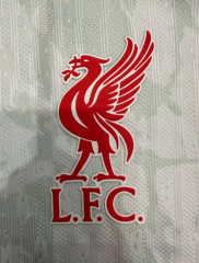 player version 24/25 liverpool third jersey