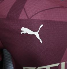 player version 24/25 manchester city third jersey