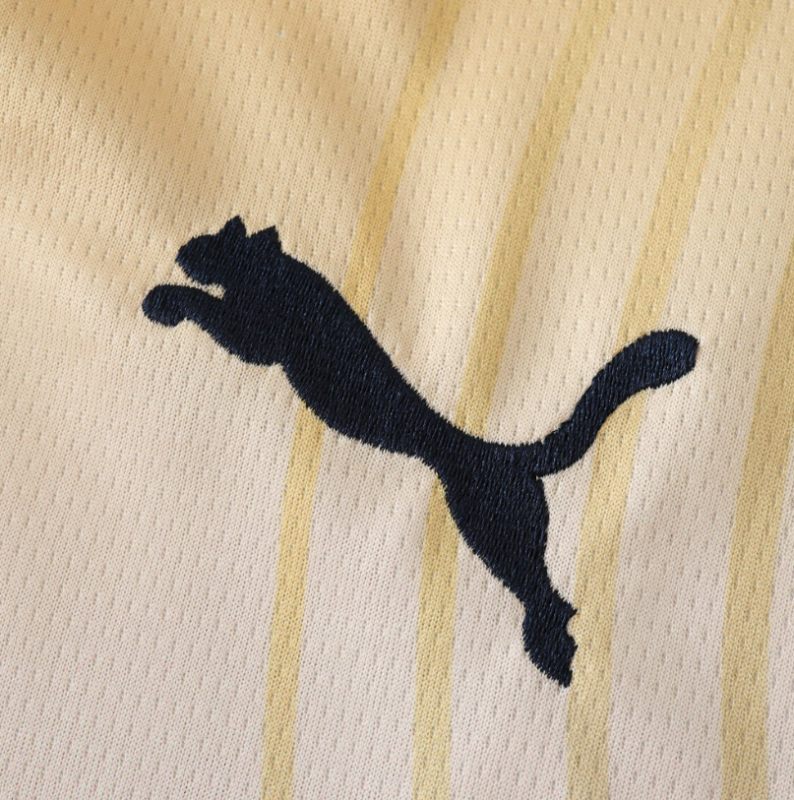 24/25 manchester city 4th jersey