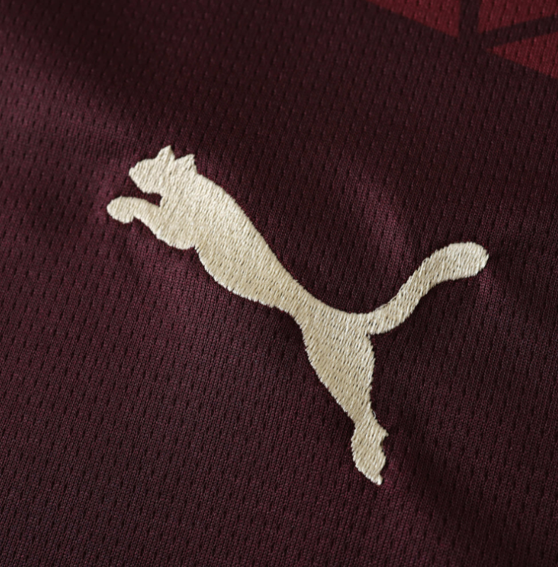 24/25 manchester city third jersey