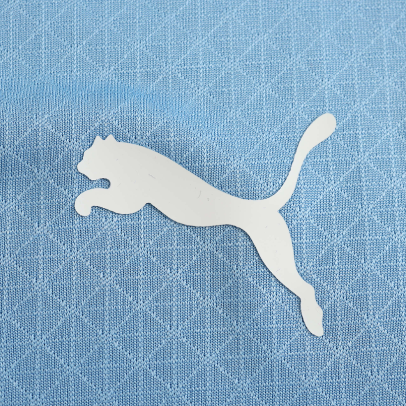 player version 24/25 manchester city home jersey