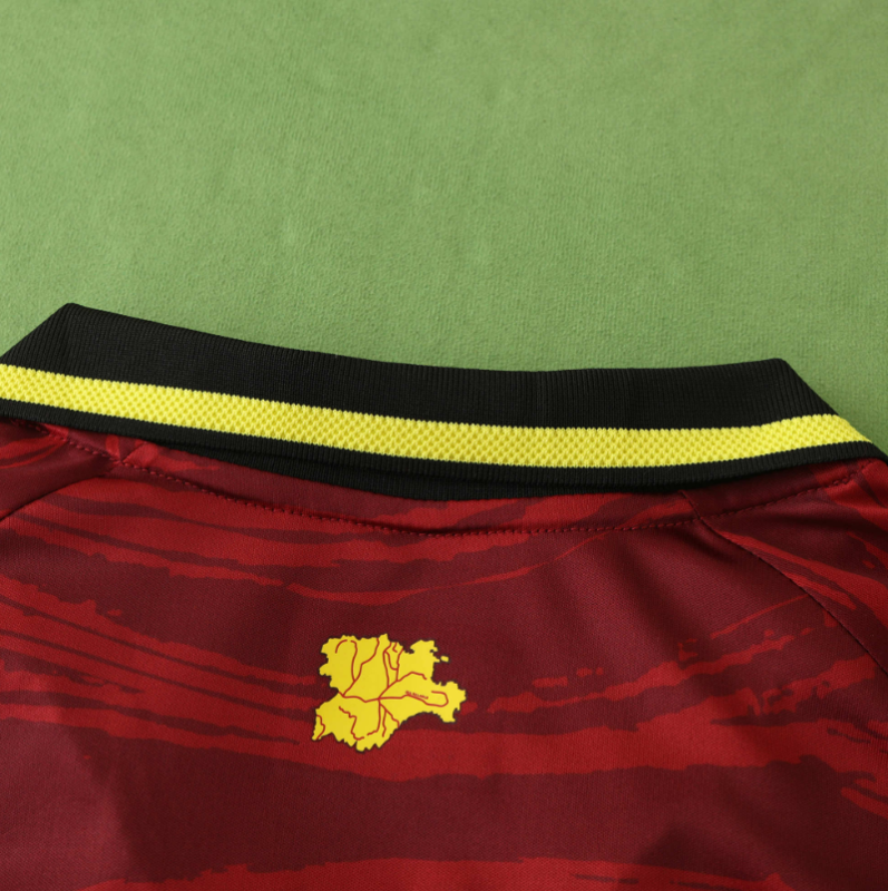 24/25 Valladolid third jersey