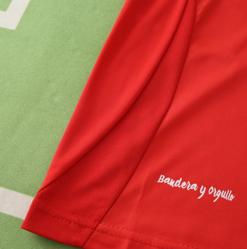 24/25 Real Zaragoza away jersey