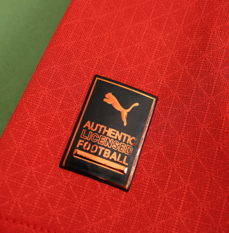 player version 24 25 ac milan home jersey