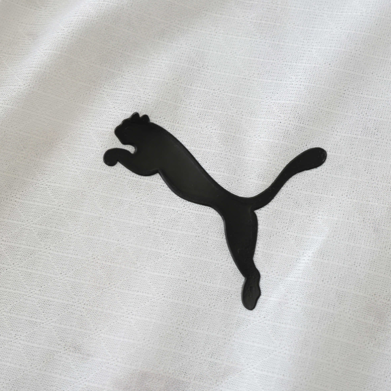 player version 24/25 Dortmund third jersey