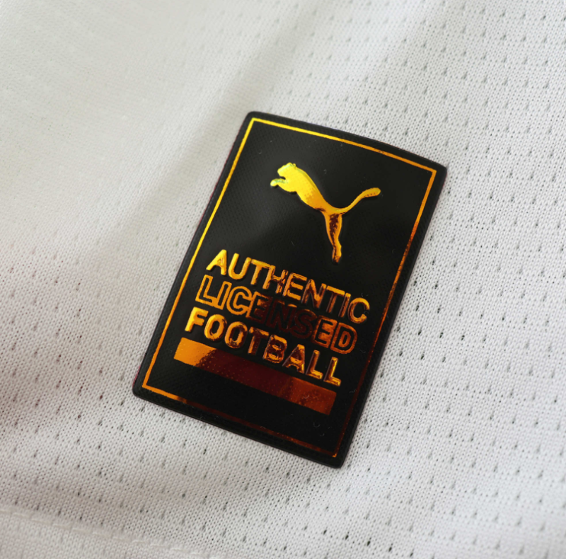 player version 24/25 Dortmund third jersey