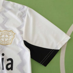 player version 24 25 Bayer 04 Leverkusen away jersey