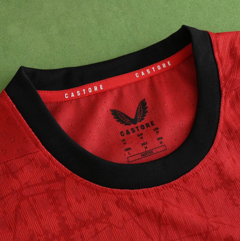 player version 24 25 Bayer 04 Leverkusen home jersey