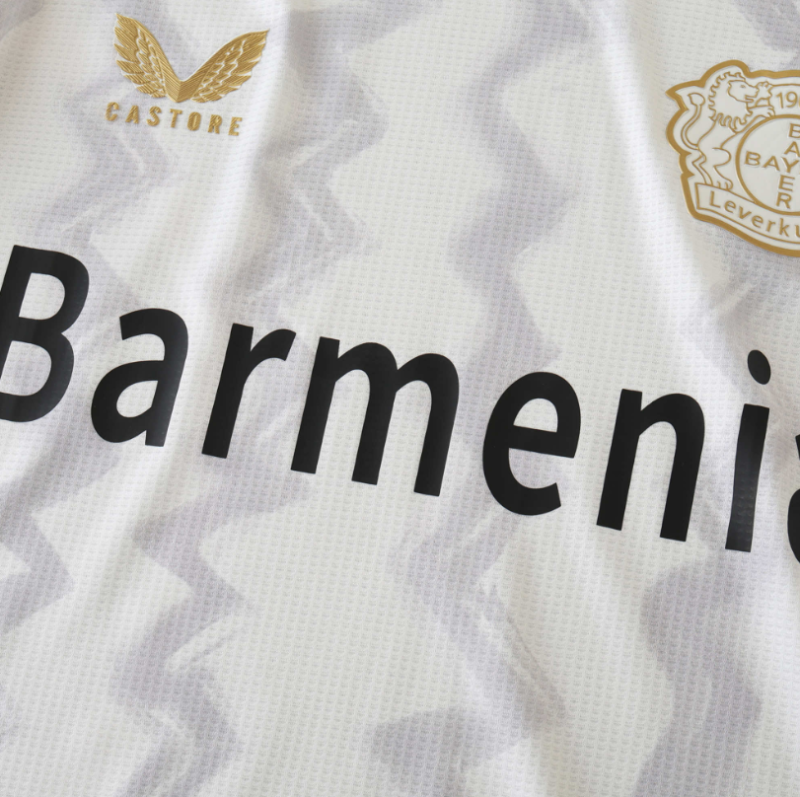 player version 24 25 Bayer 04 Leverkusen away jersey