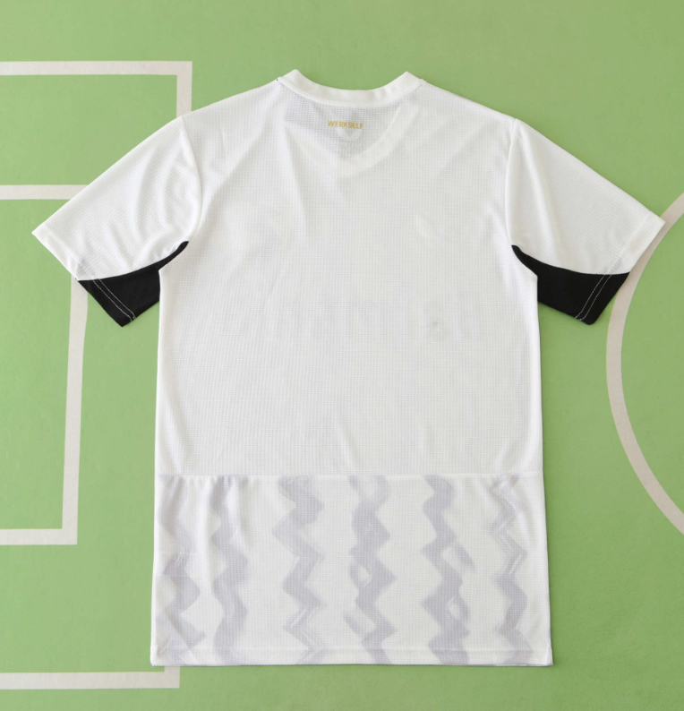 player version 24 25 Bayer 04 Leverkusen away jersey