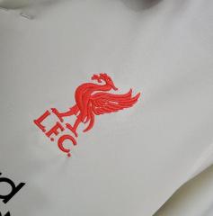 21 22 liverpool away jersey