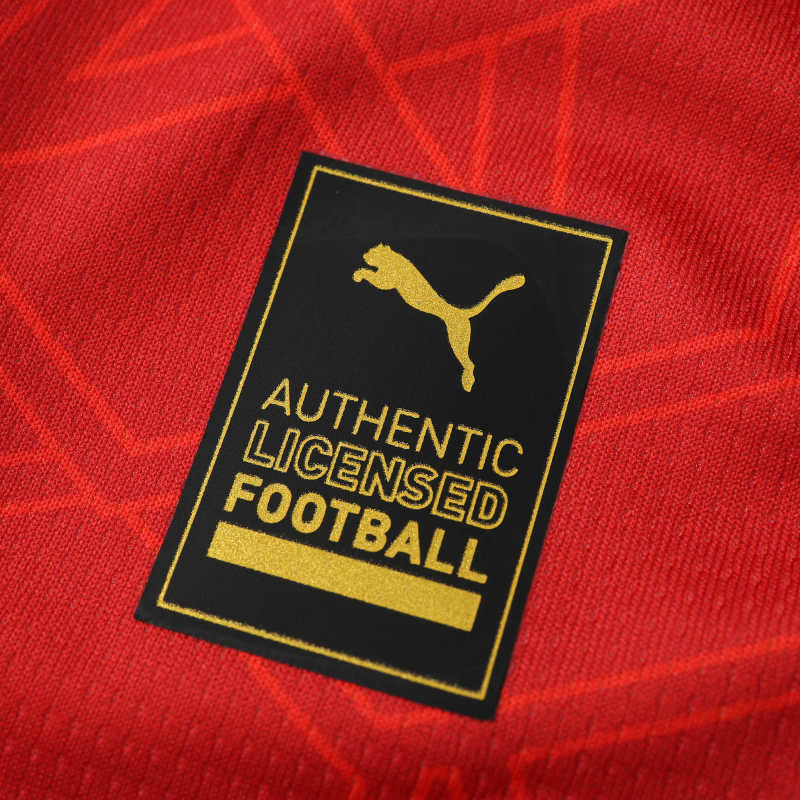 2024/25 morocco home jersey