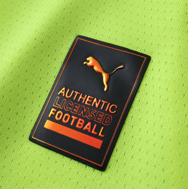 Dortmund 24-25 Special jersey player version