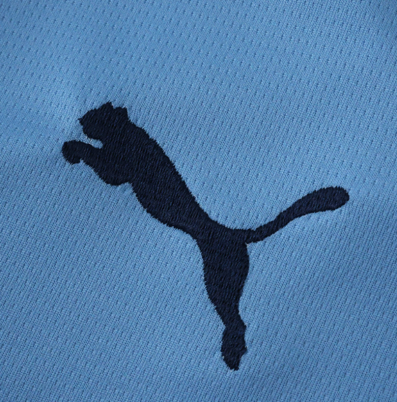 25 26 manchester city home jersey
