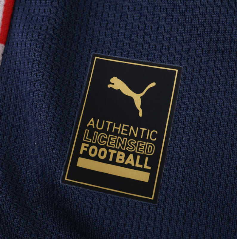 25 26 PSV Eindhoven away jersey blue men fans version size s-xxl