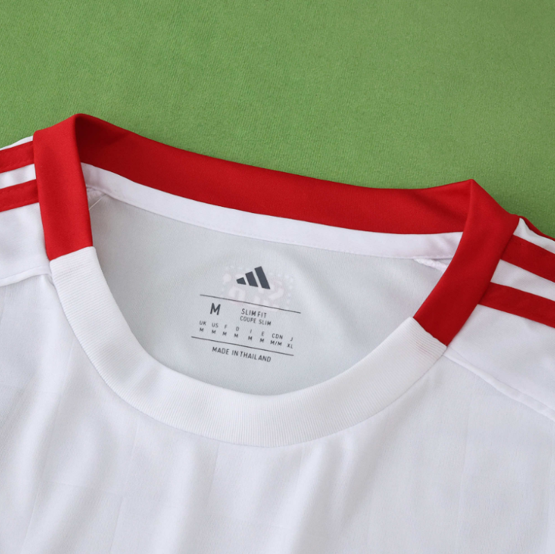 25 26 benfica third jersey
