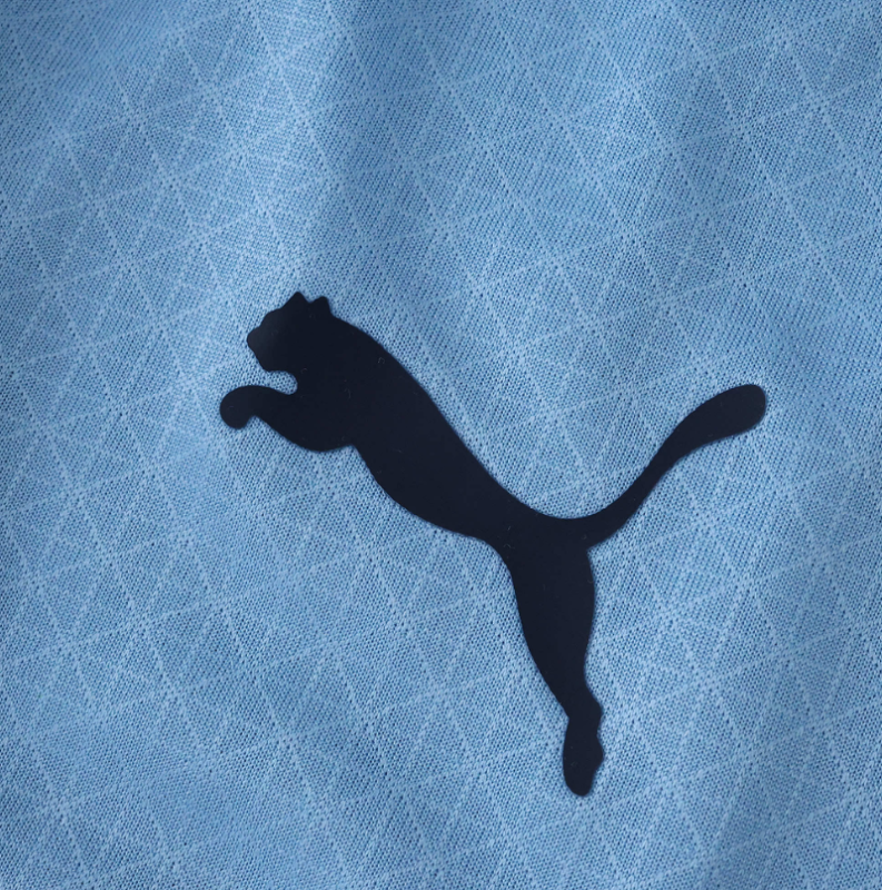 25 26 Manchester City F.C. home Long sleeved Player version JERSEY