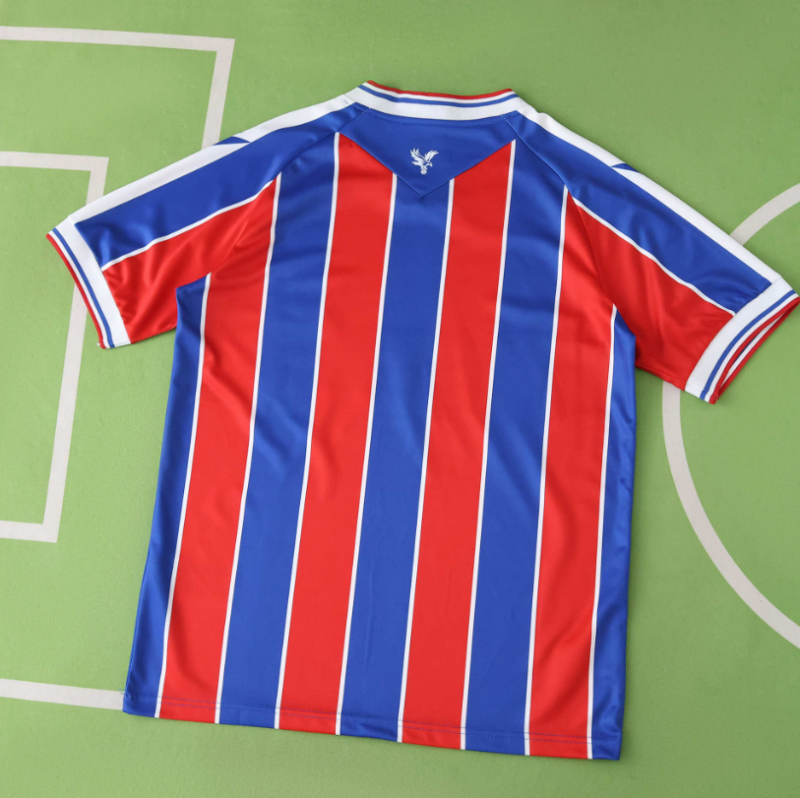 25 26 Crystal Palace home jersey