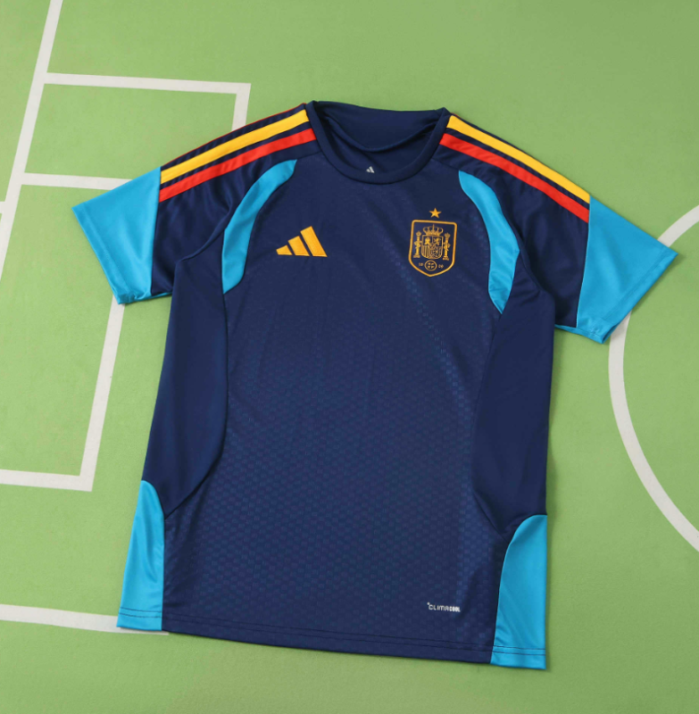 2026 spain blue training Jersey