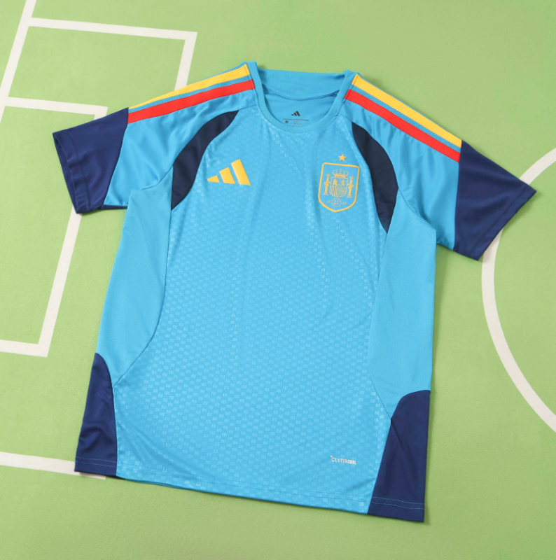 2026 spain sky blue training Jersey