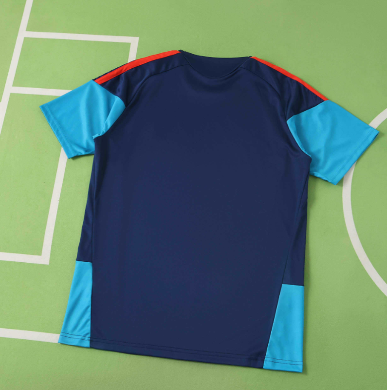 2026 spain blue training Jersey