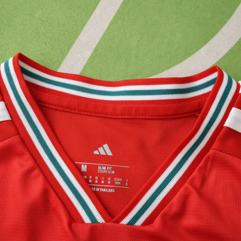 2026 wales home Jersey fans version