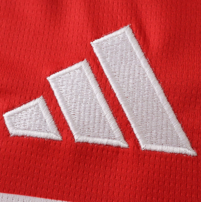 2026 wales home Jersey fans version